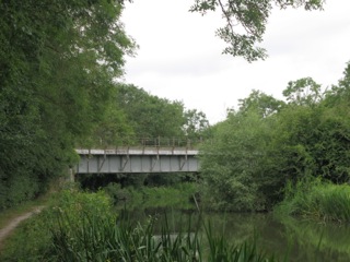 3. July 2114 walk.jpg